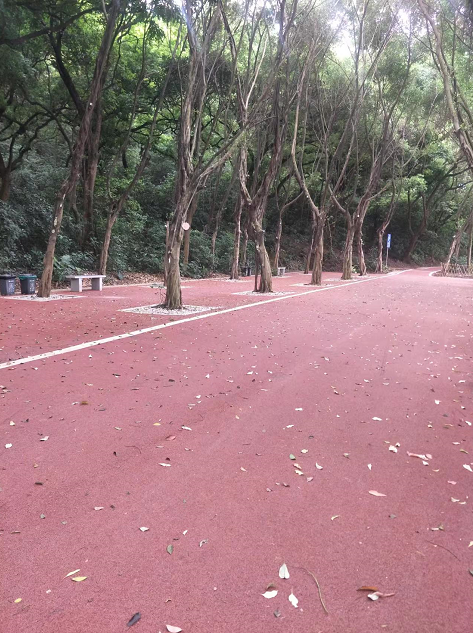 广州增城龙山古树公园案例----透水混凝土