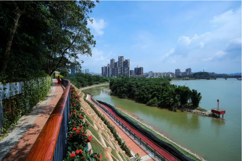 彩色透水混凝土----增城区万里碧道建设案例